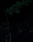 1135.jpg