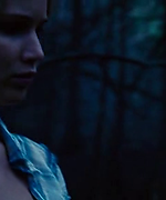 shot0071.png