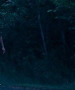 shot0167.png