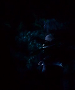 shot0183.png