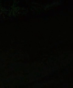 shot0964.png
