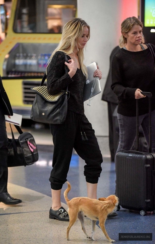 jennifer-lawrence-with-her-dog-at-jfk-airport-in-new-york-october-29-2016_630080646.jpg