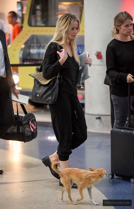 jennifer-lawrence-with-her-dog-at-jfk-airport-in-new-york-october-29-2016_730080646.jpg