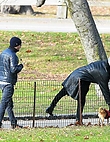 jennifer-lawrence-and-darren-aronofsky-out-at-central-park-in-new-york-march-31-2017_1301061615.jpg