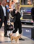 jennifer-lawrence-with-her-dog-at-jfk-airport-in-new-york-october-29-2016_430080646.jpg